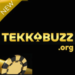 TekkaBuzz Game icon